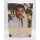 Lionel Richie Hello Eau de Parfum 100 ml